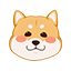 新66的头像